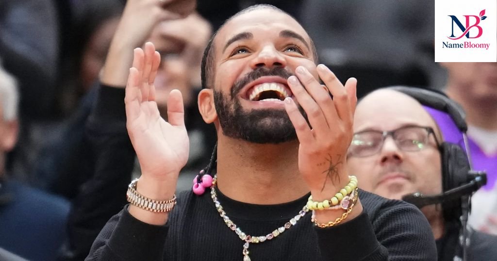 Cute Drake Nicknames