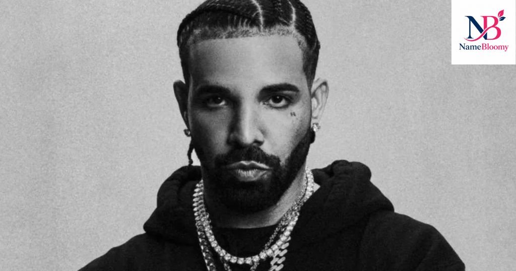 Drake Nicknames Drizzy